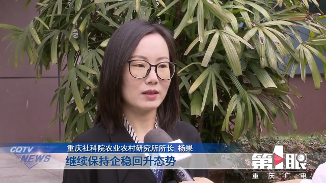 杨果解读重庆上半年经济运行“成绩单”